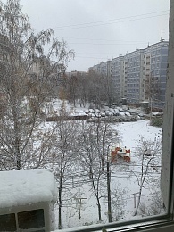 Рязанцы делятся фото первого снегопада в городе и в лесу