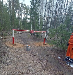 В Солотче окопали леса для противодействия пожарам