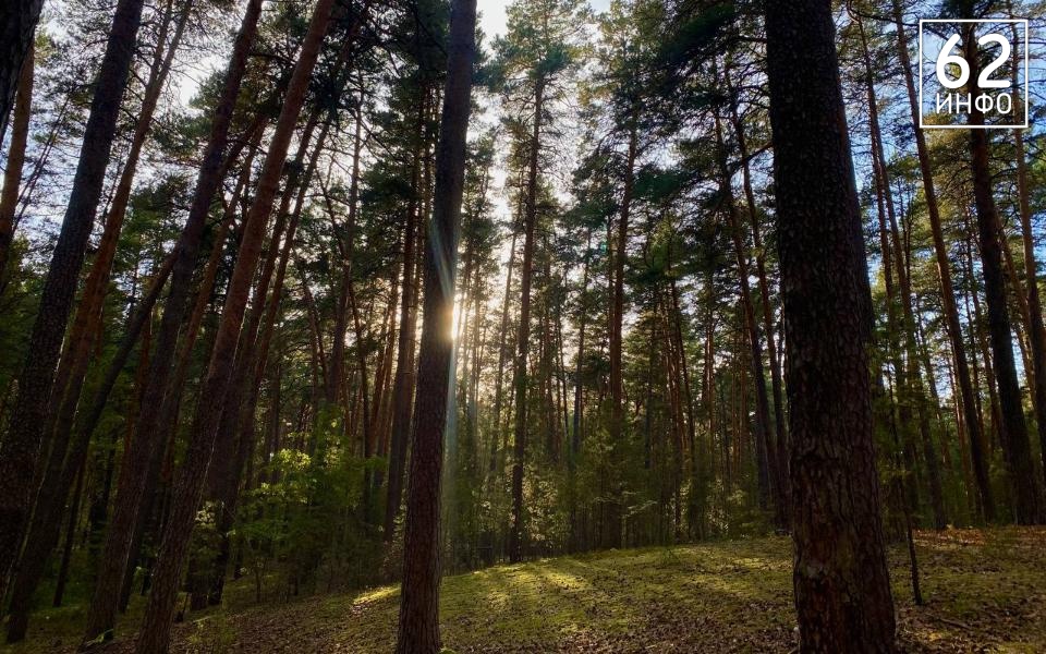 С 9 июля в Рязанской области введут особый противопожарный режим из-за жары - 62ИНФО
