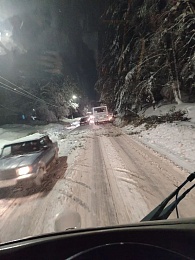 В Касимовском округе деревья блокируют дороги