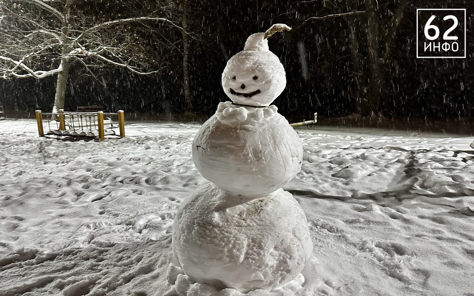 МЧС предупредило рязанцев о метели и гололеде 3 декабря - 62ИНФО