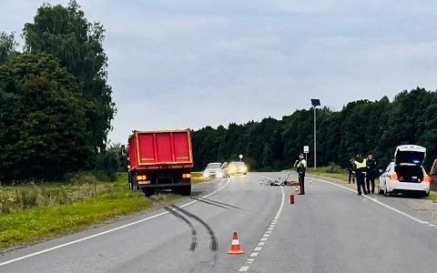 В Александро-Невском районе водитель фуры насмерть сбил 24-летнего велосипедиста