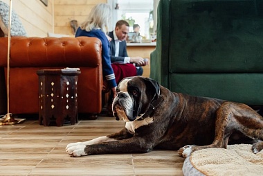 Павел Малков побывал в гостях у Карин Кнайсль