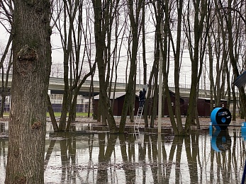 Половодье затопило Лесопарк в Рязани