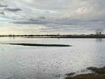 Уходящая натура: фото разлива Оки