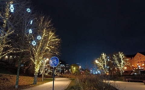 Локацию в центре Рязани украсили к Новому году