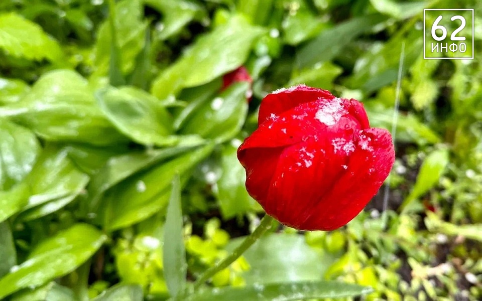 Рязанцы передохнут от аномалий: синоптики поставили ударение в прогнозе на весну и лето - 62ИНФО