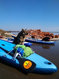 Встань и греби. Первопроходец сапсёрфинга в Рязани — о путешествиях, приключениях и красоте родной природы