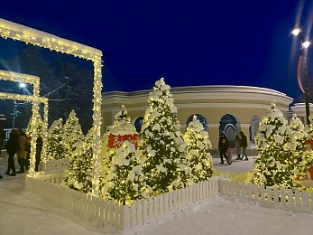 Снег и гирлянды превратили Рязань в новогоднюю открытку