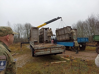 Шесть рязанских зубров передали на волю в Смоленскую область
