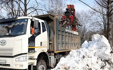 В ЦПКиО завершают санитарную очистку и оздоровление деревьев