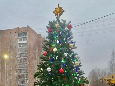 В Комсомольском парке в Рязани установили пятиметровую ёлку