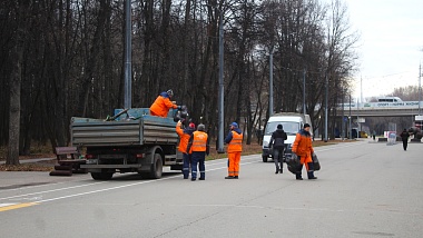 В Рязани начали украшать новогодние ели - 62ИНФО В Рязани начали украшать новогодние ели