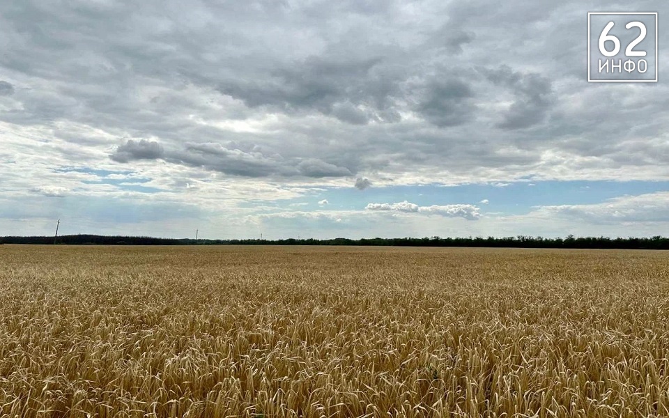 Губернатор Павел Малков оценил сбор урожая в Рязанской области - 62ИНФО