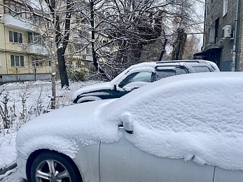 Рязанцы делятся фото первого снегопада в городе и в лесу