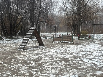 Где в Рязани гулять с собакой: официальные площадки и запрещенные места для выгула 