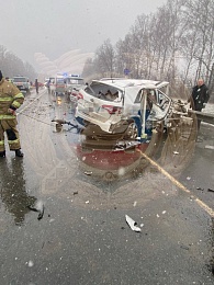 Четыре человека скончалась в массовой аварии в Путятинском районе