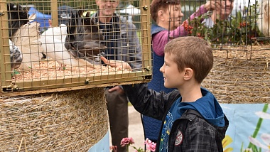 Рекордный урожай и праздник: в Рязанской области прошли «Спожинки»