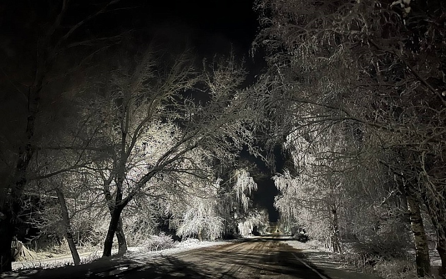 До -33°С: МЧС предупреждает рязанцев о ледяном тумане