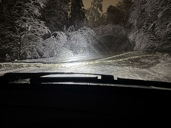 В Касимовском округе деревья блокируют дороги