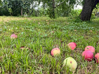 Провожаем лето: красивые фото Рязанской области с настроением отпуска