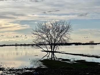 Уходящая натура: фото разлива Оки