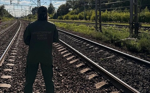 По факту смерти ребенка под поездом в Рязанской области возбудили уголовное дело
