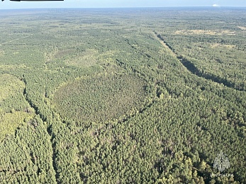 Авиаразведка МЧС прошла над 4 районами Рязанской области