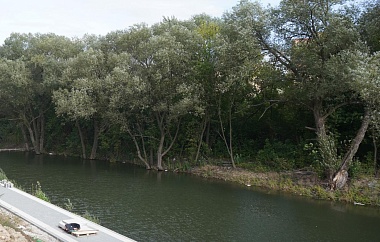 В Рязани очистили берега ручья 