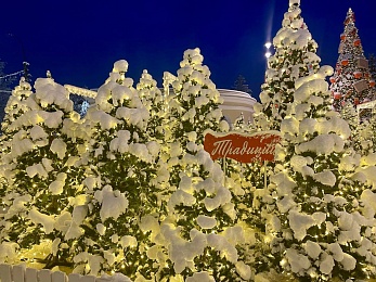 Снег и гирлянды превратили Рязань в новогоднюю открытку