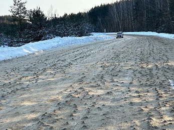 В Клепиковском районе Рязанской области появилась «дорога-ёжик»