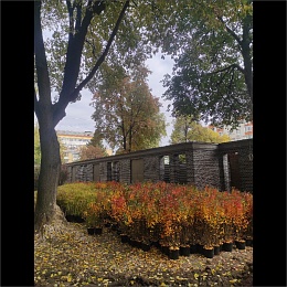 Для жителей ЖК Pride Park установят тротуар с подогревом