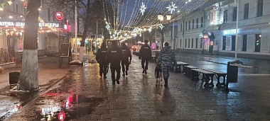 В Рязани полиция массово останавливает прохожих