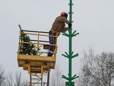 В парке в центре Рязани начали собирать 11-метровую ель