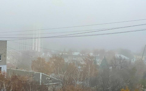 Туман охватит Рязанскую область 30 ноября