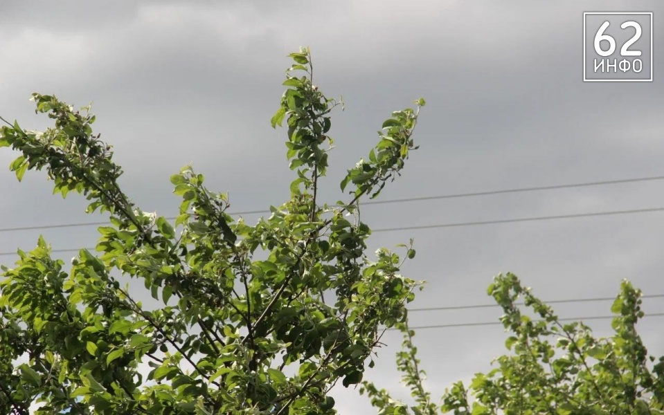 13 мая в Рязанской области выпустили метеопредупреждение из-за ветра  - 62ИНФО