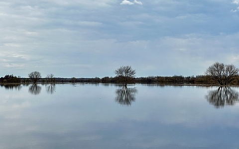 Вода в Оке у Рязани продолжает падать