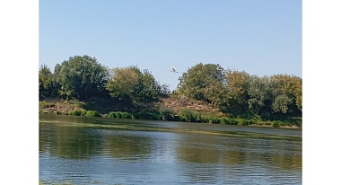 Рязанская НПК организовала для детей экологическую экспедицию к реке Проня