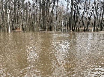 Фоторепортаж: рязанцы покоряют затопленный Лесопарк на лодках и сап-бордах - 62ИНФО Фоторепортаж: рязанцы покоряют затопленный Лесопарк на лодках и сап-бордах