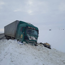 В массовом ДТП в Михайловском районе пострадали два человека 