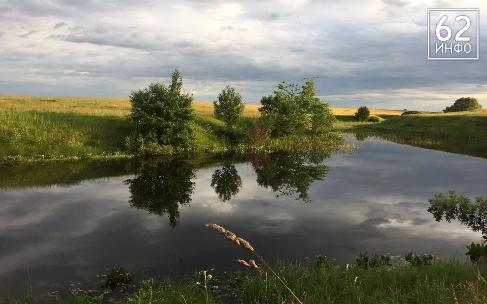 Рязанские следователи проверяют обстоятельства гибели двухлетнего мальчика на пруду - 62ИНФО
