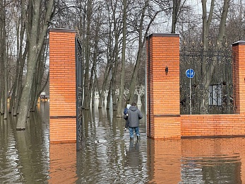 Фоторепортаж: рязанцы покоряют затопленный Лесопарк на лодках и сап-бордах - 62ИНФО Фоторепортаж: рязанцы покоряют затопленный Лесопарк на лодках и сап-бордах