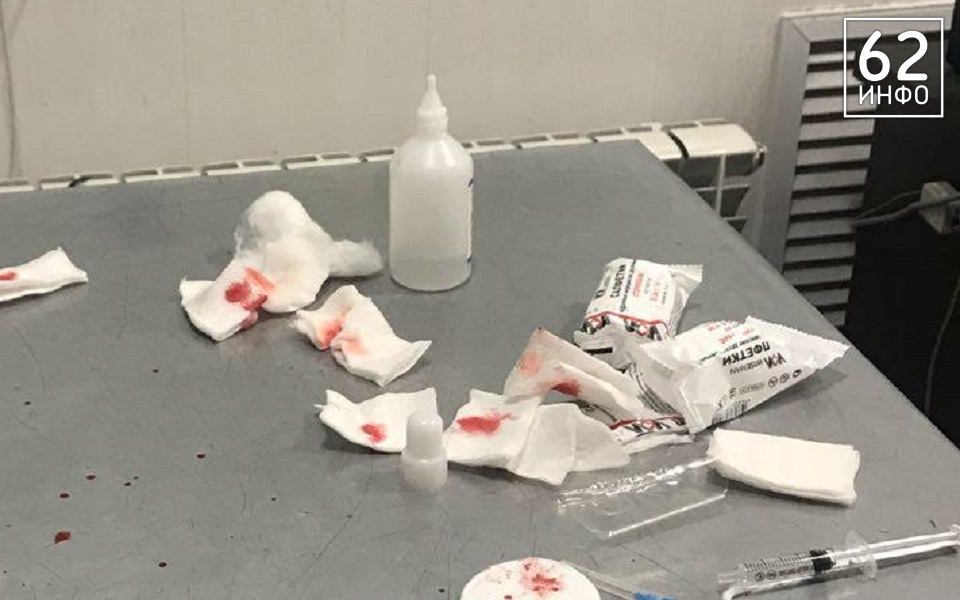 В Рязани выросло число пострадавших от питбультерьера в Дашково-Песочне - 62ИНФО В Рязани выросло число пострадавших от питбультерьера в Дашково-Песочне - 62ИНФО