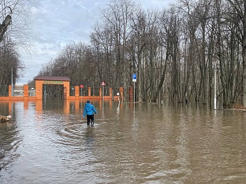 Фоторепортаж: рязанцы покоряют затопленный Лесопарк на лодках и сап-бордах - 62ИНФО Фоторепортаж: рязанцы покоряют затопленный Лесопарк на лодках и сап-бордах
