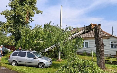 В Рязанской области из-за непогоды без света оставались несколько округов