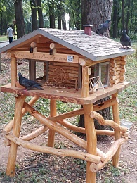 В рязанском ЦПКиО появилась «Баня для белок»