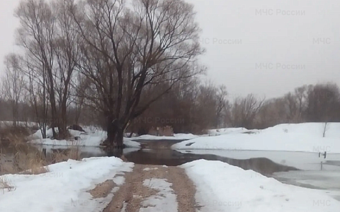 В Скопинском районе подтопило мост у села Шелемишево