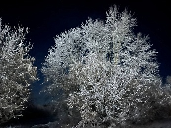 Снежное полнолуние марта сфотографировали в рязанской глубинке - 62ИНФО Снежное полнолуние марта сфотографировали в рязанской глубинке