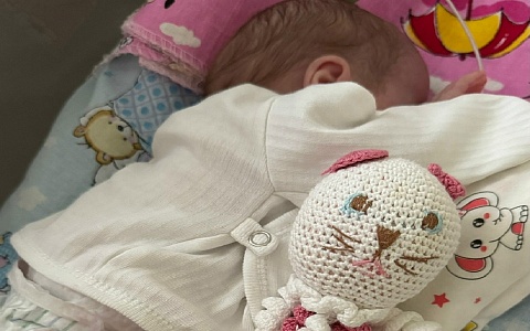 В перинатальном центре родилась девочка весом менее полукилограмма В перинатальном центре родилась девочка весом менее полукилограмма