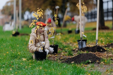 Губернатор Павел Малков присоединился к высадке деревьев в сквере «Рязань – город Трудовой Доблести»